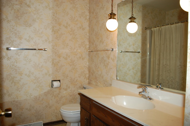 24 Lockman Cir, Elgin, IL 60123 photo 8