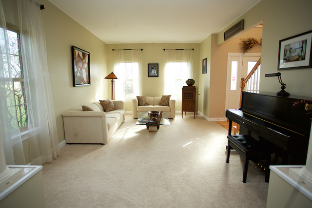 11328 S Cindy Dr, Plainfield, IL 60585 photo 6