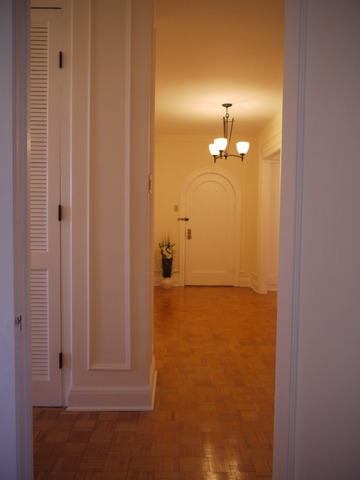 5555 S Everett Ave #B8, Chicago, IL 60637 photo 9