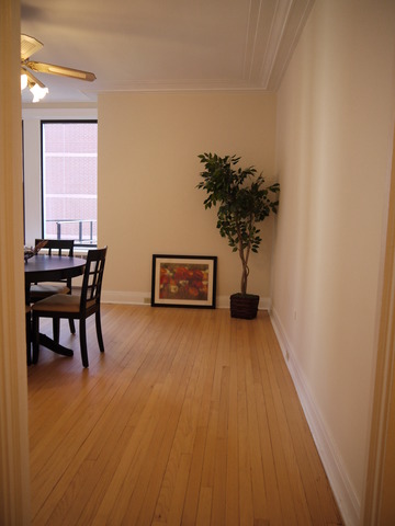 5555 S Everett Ave #B8, Chicago, IL 60637 photo 15