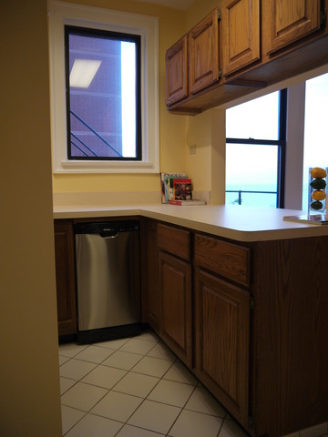 5555 S Everett Ave #B8, Chicago, IL 60637 photo 21
