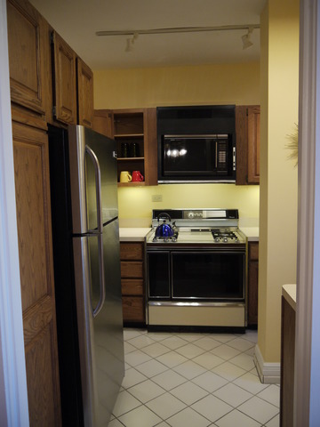 5555 S Everett Ave #B8, Chicago, IL 60637 photo 19