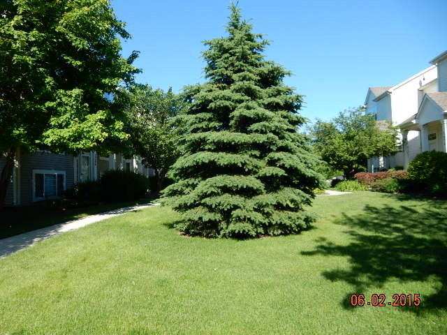 2704 Canyon Dr, Plainfield, IL 60586 photo 9
