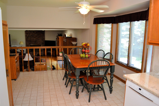 18309 Clyde Ave, Lansing, IL 60438 photo 15