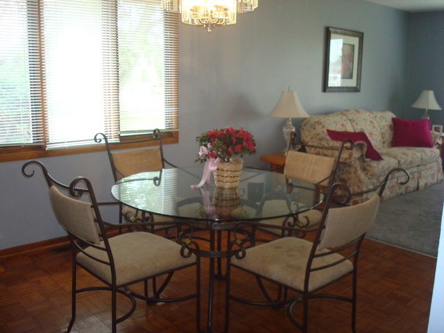 9133 S 77th Ave, Bridgeview, IL 60455 photo 4