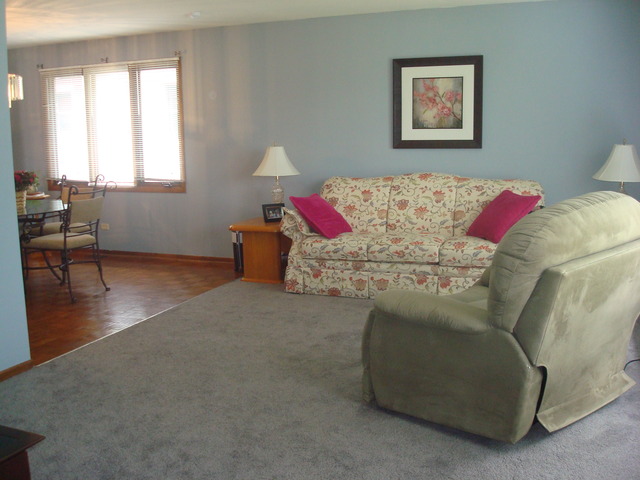 9133 S 77th Ave, Bridgeview, IL 60455 photo 3
