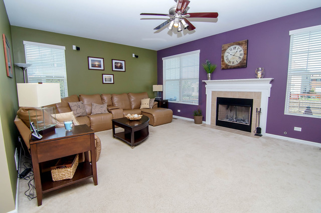 26607 Silverleaf Dr, Plainfield, IL 60585 photo 8