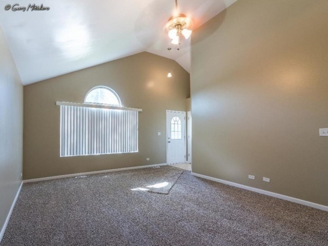3001 Union Ave, Steger, IL 60475 photo 6