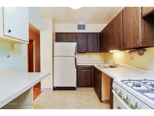 40 E Cedar St #6A, Chicago, IL 60611 photo 4