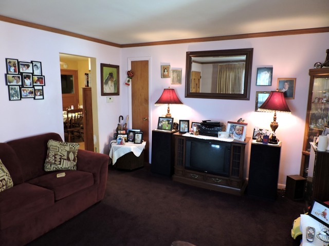 748 E North St, Bradley, IL 60915 photo 3