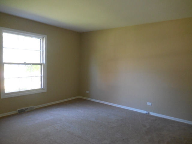 751 E Cunningham Dr, Palatine, IL 60074 photo 11