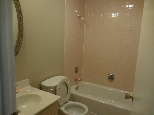 751 E Cunningham Dr, Palatine, IL 60074 photo 13