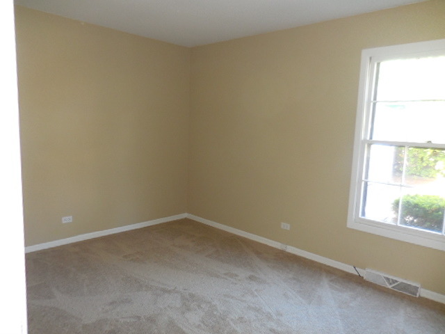 751 E Cunningham Dr, Palatine, IL 60074 photo 10