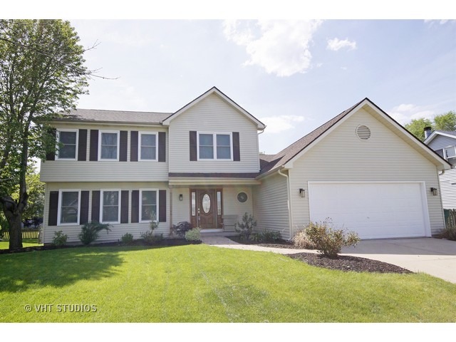 1807 Chestnut Hill Rd, Plainfield, IL 60586 photo 1
