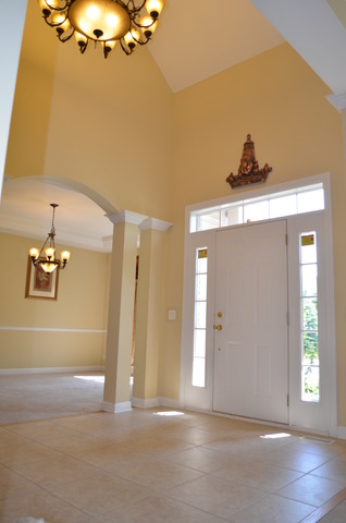 12008 Winterberry Ln, Plainfield, IL 60585 photo 3