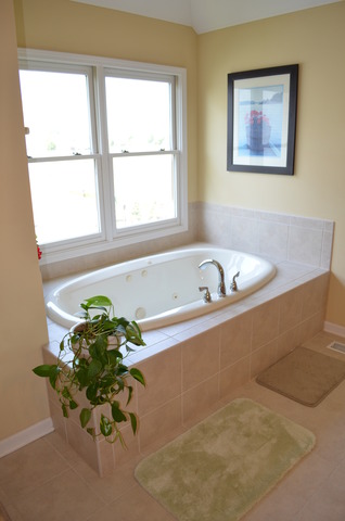 12008 Winterberry Ln, Plainfield, IL 60585 photo 16