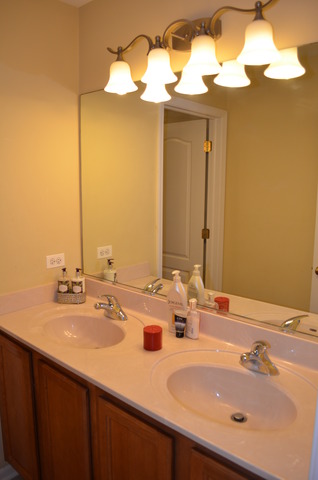 12008 Winterberry Ln, Plainfield, IL 60585 photo 21