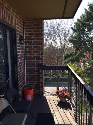 3825 W Devon Ave #301, Chicago, IL 60659 photo 10
