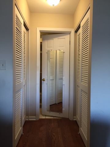 3825 W Devon Ave #301, Chicago, IL 60659 photo 7