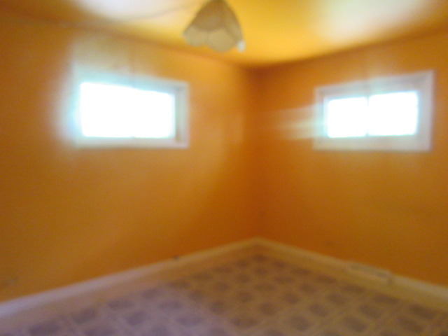 2829 Stafford Dr, Markham, IL 60428 photo 4