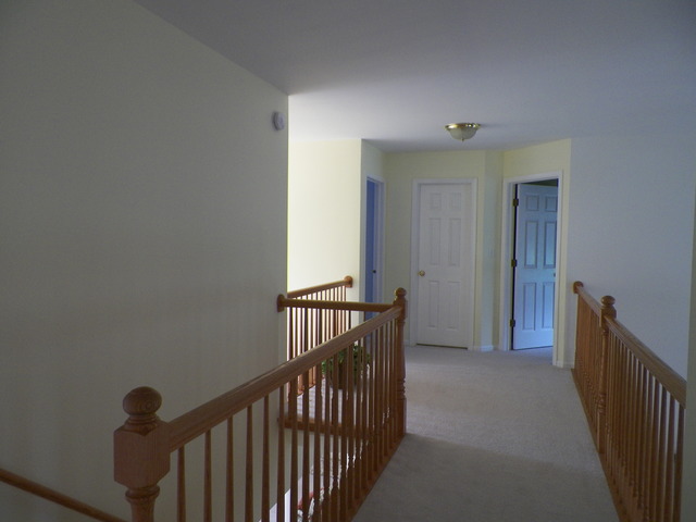 2219 Irvine Ln, Plainfield, IL 60586 photo 21