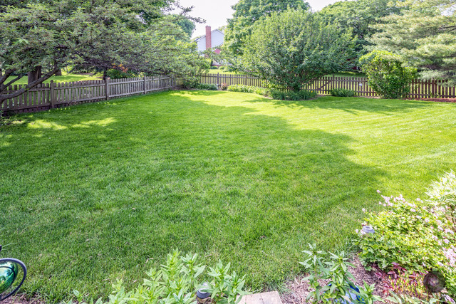 391 Cassin Rd, Naperville, IL 60565 photo 23