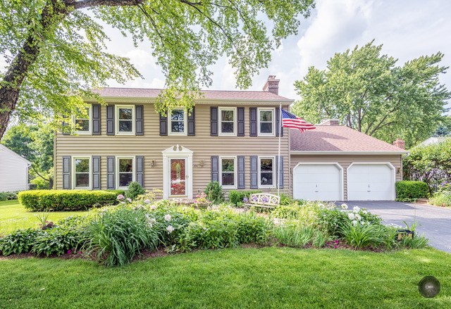 391 Cassin Rd, Naperville, IL 60565 photo 1