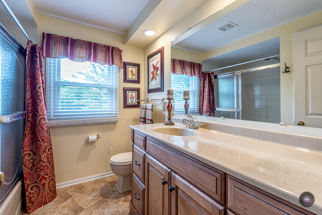391 Cassin Rd, Naperville, IL 60565 photo 19