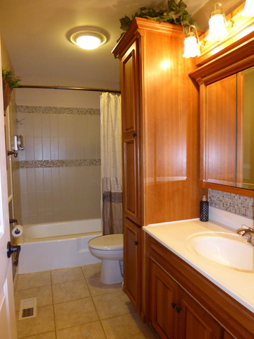 458 Farnham Ln, Wheaton, IL 60189 photo 16