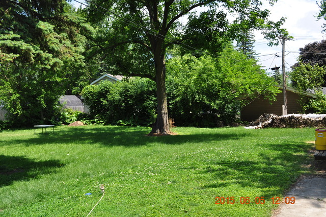 1207 Grant St, Wheaton, IL 60189 photo 11