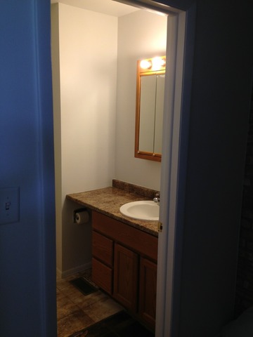 320 Joan Ct #C, Bartlett, IL 60103 photo 4
