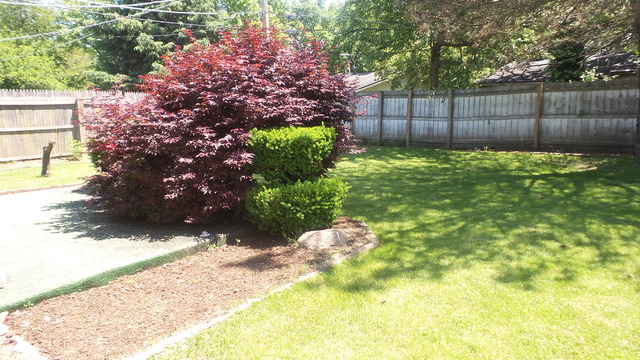 1365 Royal Blvd, Elgin, IL 60123 photo 22