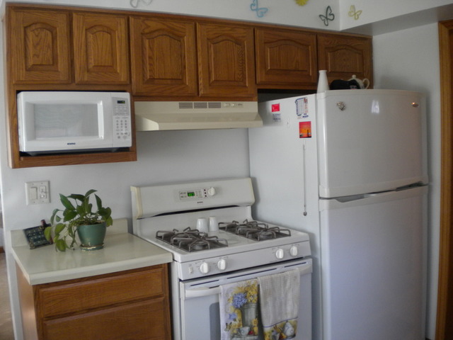 3017 Wallace Ave, Steger, IL 60475 photo 6