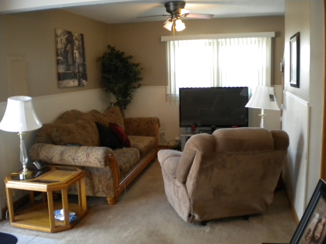 3017 Wallace Ave, Steger, IL 60475 photo 12