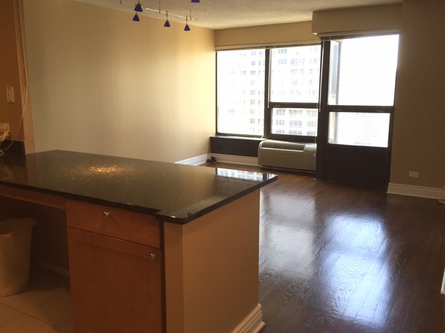 30 E Huron St #3003, Chicago, IL 60611 photo 4
