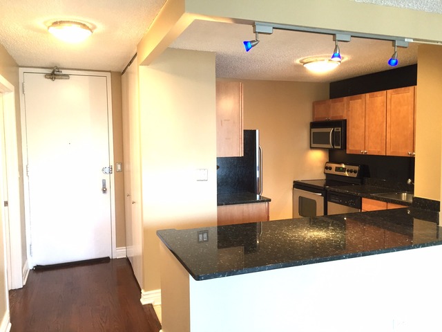 30 E Huron St #3003, Chicago, IL 60611 photo 3