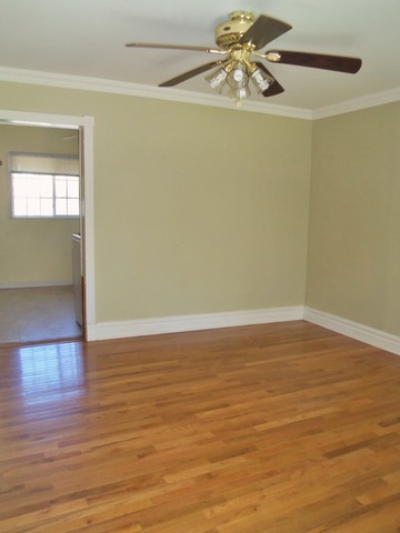 475 Locust St, Elgin, IL 60123 photo 4