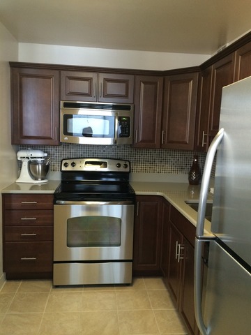 1700 E 56th St #504, Chicago, IL 60637 photo 4