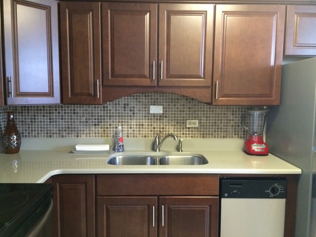 1700 E 56th St #504, Chicago, IL 60637 photo 5