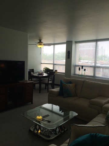1700 E 56th St #504, Chicago, IL 60637 photo 6