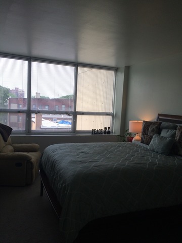 1700 E 56th St #504, Chicago, IL 60637 photo 9