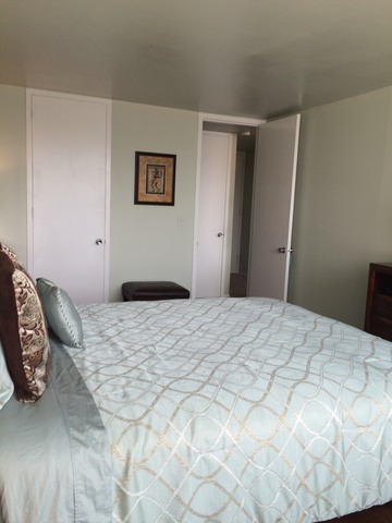 1700 E 56th St #504, Chicago, IL 60637 photo 8