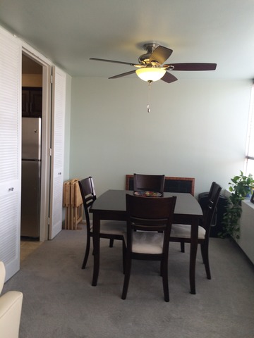1700 E 56th St #504, Chicago, IL 60637 photo 7
