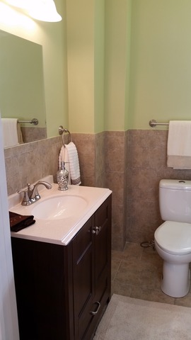 652 E Bowen Ave, Chicago, IL 60653 photo 20