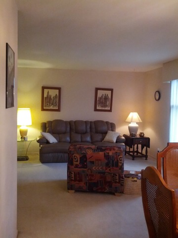 1484 Coloma Pl, Wheaton, IL 60189 photo 9