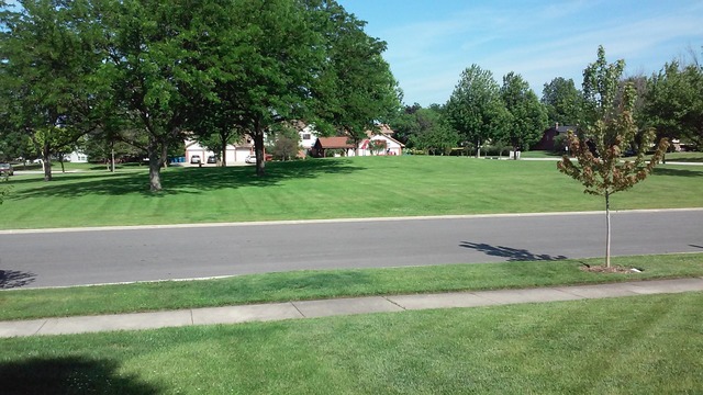 808 N Maple St, Itasca, IL 60143 photo 2