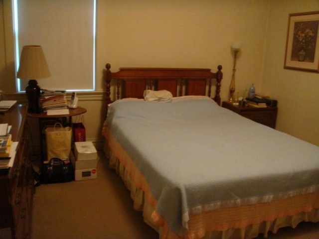 739 Monroe Ave, River Forest, IL 60305 photo 11