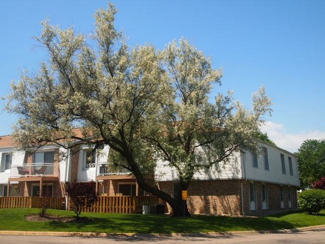 4517 Kings Walk Dr #2B, Rolling Meadows, IL 60008 photo 1