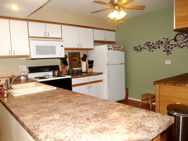 4517 Kings Walk Dr #2B, Rolling Meadows, IL 60008 photo 8