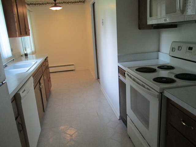 6710 S Madison St, Willowbrook, IL 60527 photo 7